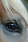 [ Photo ]