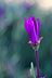 [ Photo ]